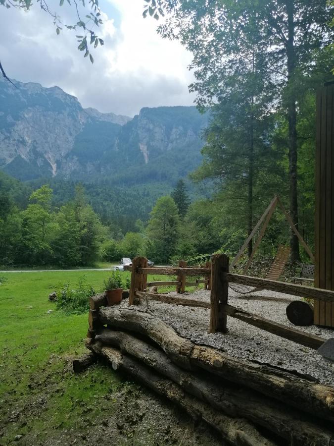 Willa Skalca Kamniska Bistrica Zewnętrze zdjęcie